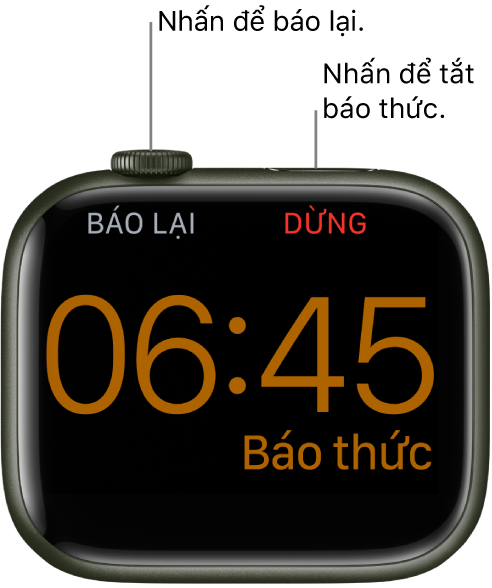 Một Apple Watch được đặt nghiêng, với màn hình đang hiển thị một báo thức đã phát. Bên dưới Digital Crown là từ “Báo lại”. Từ “Dừng” ở bên dưới nút sườn.