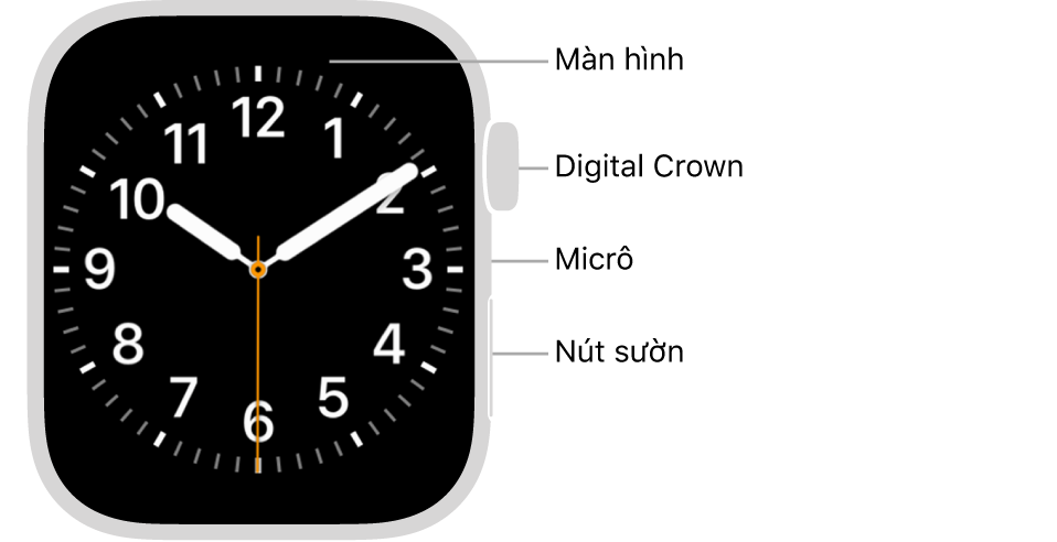 Mặt trước của Apple Watch Series 7, với màn hình đang hiển thị mặt đồng hồ và Digital Crown, micrô và nút sườn từ trên xuống dưới trên sườn của đồng hồ.