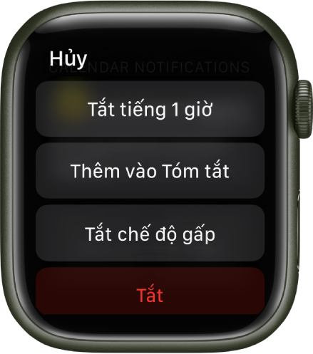 Cài đặt Thông báo trên Apple Watch. Nút trên cùng có nội dung "Tắt tiếng 1 giờ”. Bên dưới là các nút để Thêm vào Tóm tắt, Tắt chế độ gấp và Tắt.
