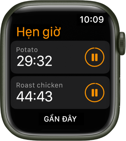 Hai mục hẹn giờ trong ứng dụng Hẹn giờ. Mỗi mục hẹn giờ hiển thị thời gian còn lại bên dưới tên của mục hẹn giờ và một nút tạm dừng ở bên phải. Nút Gần đây ở cuối màn hình.