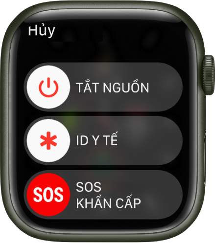 Màn hình Apple Watch đang hiển thị ba thanh trượt: Tắt nguồn, ID y tế và SOS khẩn cấp. Kéo thanh trượt Tắt nguồn để tắt Apple Watch.