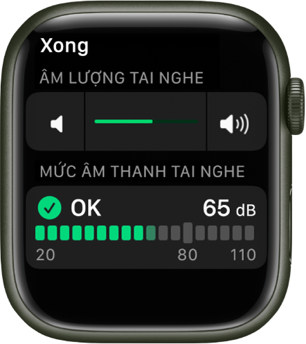 Màn hình Âm lượng tai nghe đang hiển thị một điều khiển âm lượng ở trên cùng và một công cụ đo ở bên dưới, hiển thị âm lượng tai nghe hiện tại. Mức âm lượng là 65 dB và được đánh dấu là “OK”.