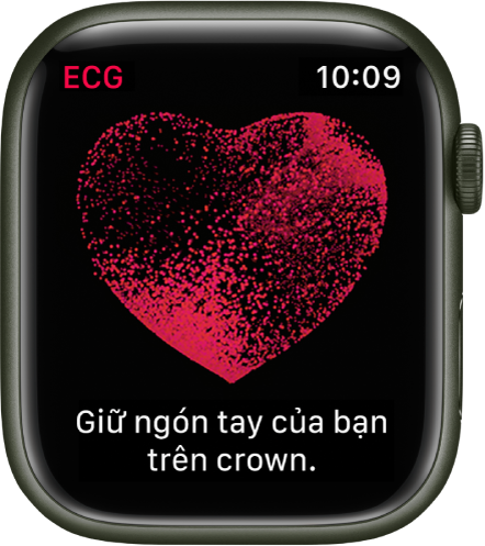 Ứng dụng ECG đang hiển thị hình ảnh về một trái tim và các từ “Giữ ngón tay của bạn trên crown”.