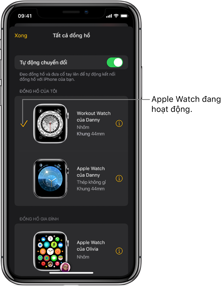 Trong màn hình Tất cả đồng hồ của ứng dụng Apple Watch, một dấu chọn cho biết Apple Watch đang hoạt động.