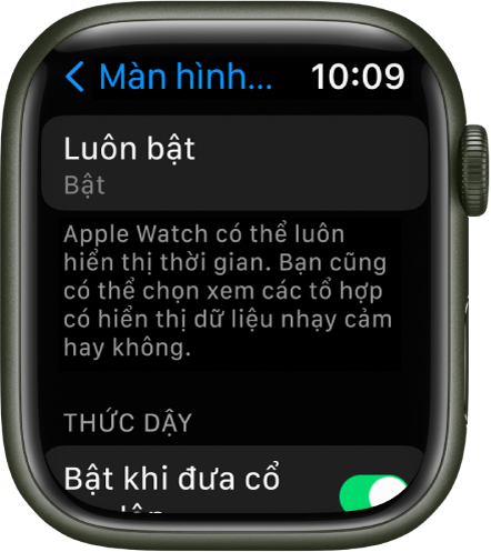 Bật nguồn và bật màn hình Apple Watch