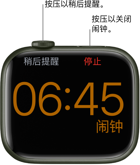 侧放着的 Apple Watch，屏幕显示已响的闹钟。数码表冠下方是“稍后提醒”。“停止”位于侧边按钮下方。