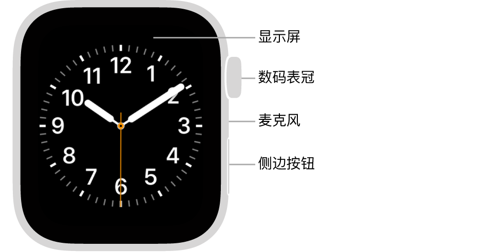 Apple Watch Series 6 的正面，屏幕显示表盘，手表侧边从上到下依次是数码表冠、麦克风和侧边按钮。