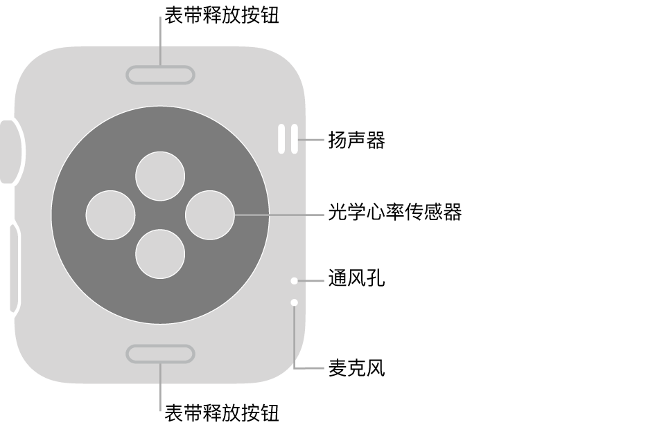 Apple Watch Series 3 的背面，顶部和底部是表带释放按钮，中间是光学心率传感器，侧边附近从上到下依次是扬声器、通风孔和麦克风。