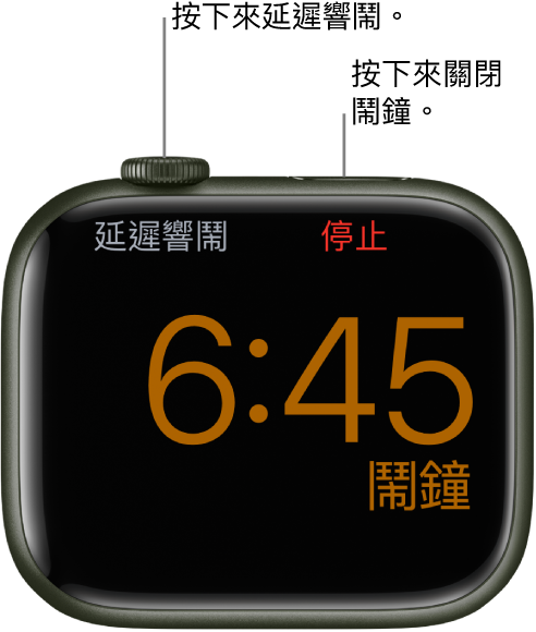 Apple Watch 已打側擺放，畫面顯示鬧鐘正在響鬧。數碼錶冠下方的文字是「延遲響鬧」。「停止」字樣位於側邊按鈕下方。