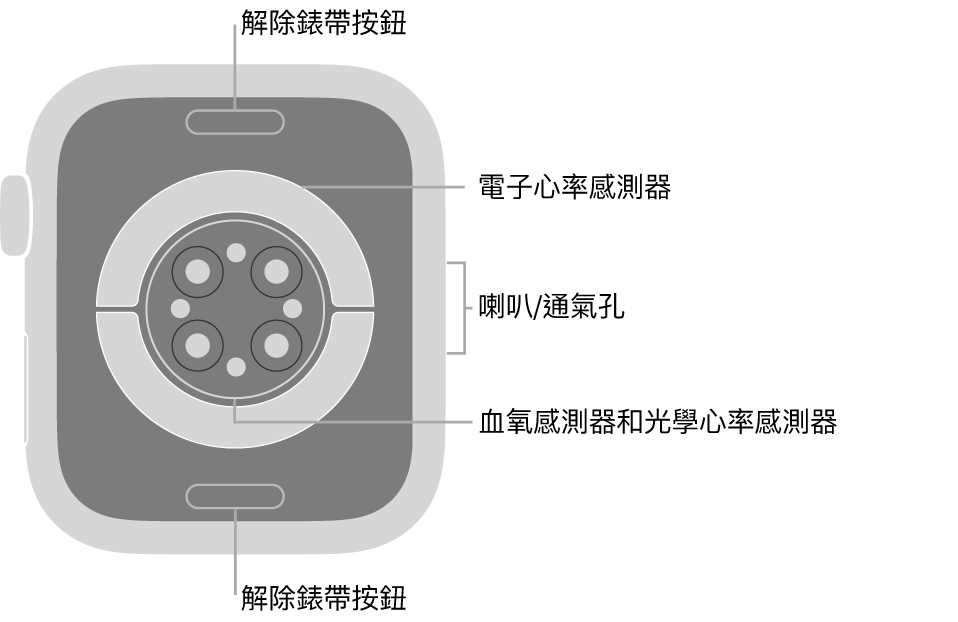 Apple Watch Series 6 的背面，在頂部和底部的解除錶帶按鈕，中間的電子心率感測器、光學心率感測器和血氧感測器，以及側邊的喇叭/通氣孔。