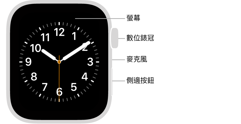 Apple Watch SE 的正面，螢幕顯示錶面，而手錶的側面由上到下為數位錶冠、麥克風和側邊按鈕。