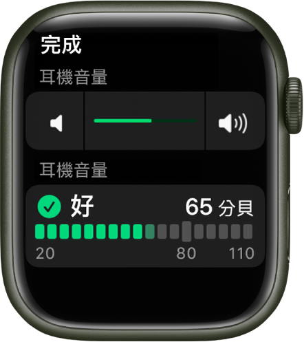 「耳機音量」畫面最上方顯示音量控制項目，下方的音量計顯示幕前的耳機音量。音量為 65 分貝並標示為「正常」。