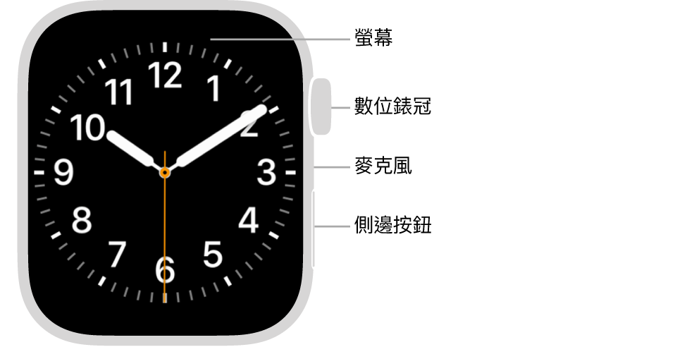 Apple Watch Series 7 的正面，螢幕顯示錶面，而手錶的側面由上到下為數位錶冠、麥克風和側邊按鈕。