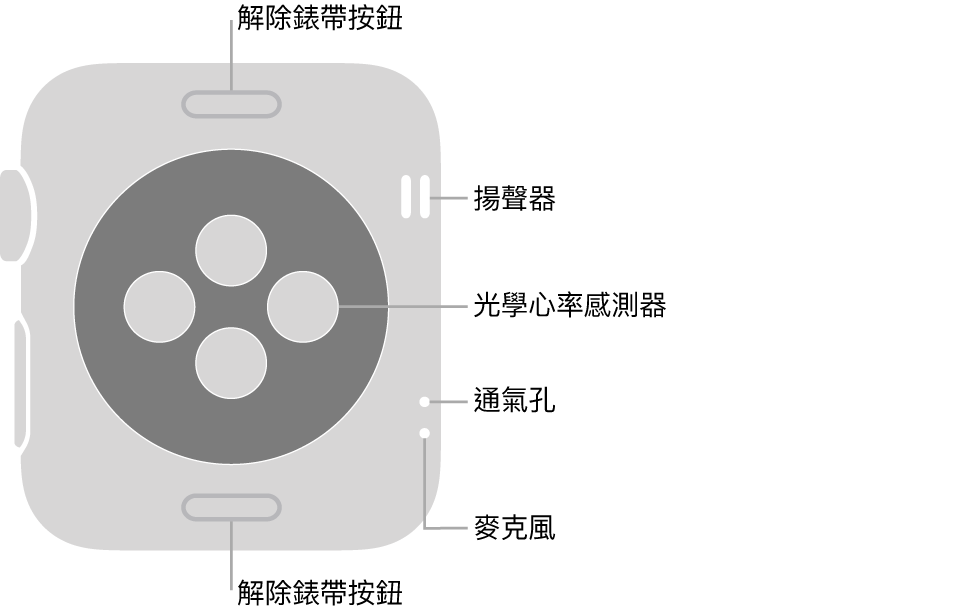 Apple Watch Series 3 的背面，頂端和底部為解除錶帶按鈕，中央為光學心率感測器，而側邊附近由上到下為揚聲器、通氣孔和麥克風。