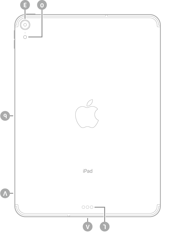 عرض للجزء الخلفي من iPad Pro مع وسائل شرح للكاميرا الخلفية والفلاش في أعلى اليسار، وموصل Smart Connector و USB-C في أسفل الوسط، وحامل SIM (في طرز Wi-Fi + Cellular) في أسفل اليسار، والموصل المغناطيسي لـ Apple Pencil على اليسار.