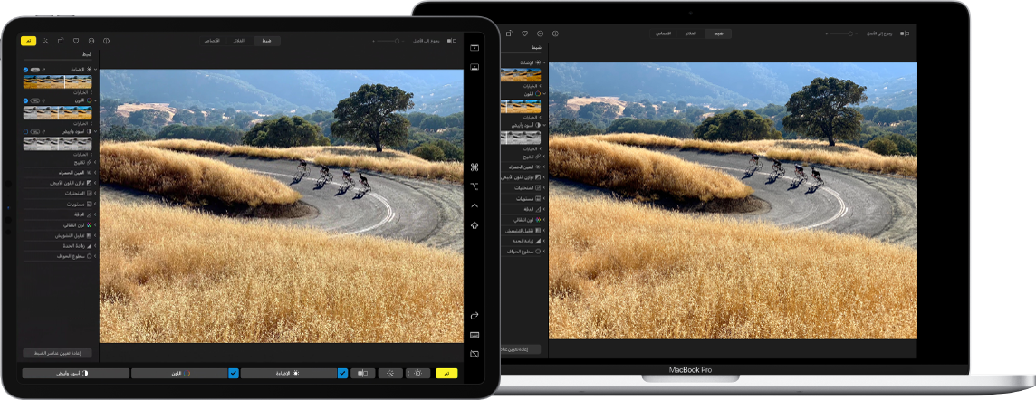 شاشة Mac بجوار شاشة iPad. تعرض كلتا الشاشتين نافذة من أحد تطبيقات تحرير الصور.