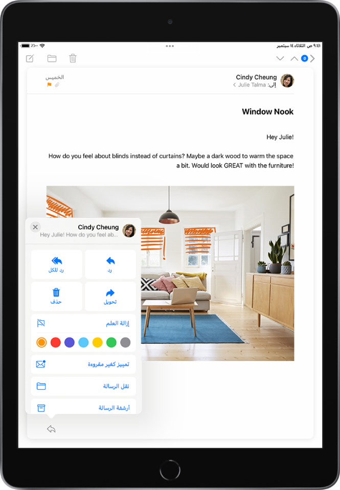 رسالة بريد إلكتروني مفتوحة. تظهر القائمة مع خيارات إضافة أو إزالة العلم على اليسار.