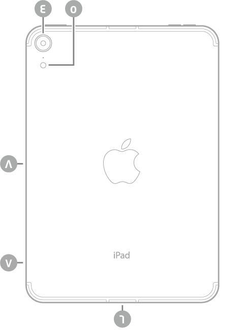 عرض للجزء الخلفي من iPad mini مع وسائل شرح للكاميرا الخلفية والفلاش في أعلى اليسار، وموصل USB-C في أسفل الوسط، وحامل SIM (في طرز Wi-Fi + Cellular) في أسفل اليسار، والموصل المغناطيسي لـ Apple Pencil على اليسار.
