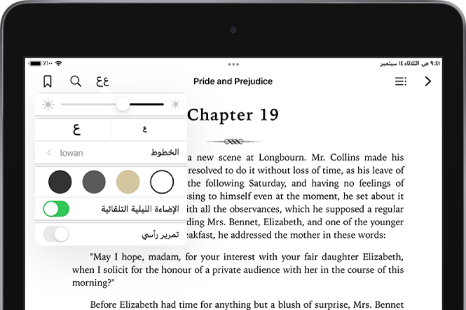 قائمة المظهر محددة في كتاب وتعرض - من أعلى إلى أسفل - عناصر التحكم في الإضاءة وحجم الخط ونمط الخط ولون الصفحة وسمة الليل التلقائي وعرض التمرير.