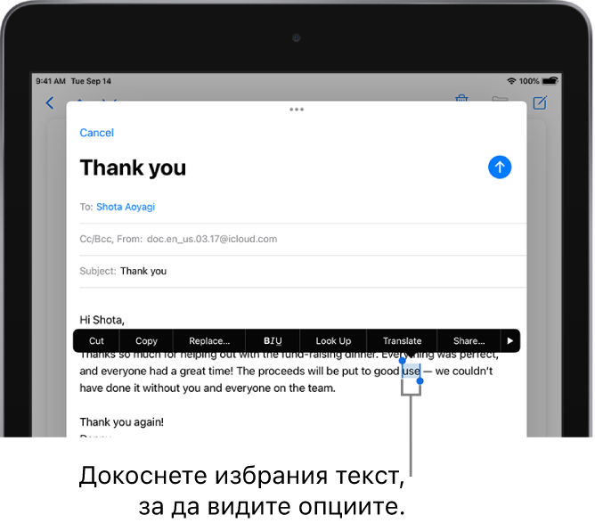 Примерно електронно съобщение, като част от текста е избрана. Над избраното са бутоните за изрязване, копиране, вмъкване и замяна и други команди. Избраният текст е маркиран с маркери от двете страни.