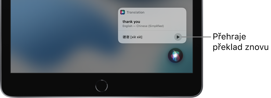 Siri zobrazuje překlad anglické fráze „thank you“ do mandarínštiny. Tlačítkem vpravo od překladu lze přehrát mluvenou verzi překladu.