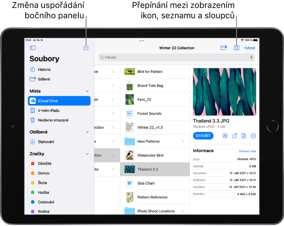 Místo na iCloud Drivu s tlačítky pro změnu uspořádání bočního panelu, pro řazení podle názvu, data, velikosti a značek a pro přepínání mezi zobrazením seznamu a ikon