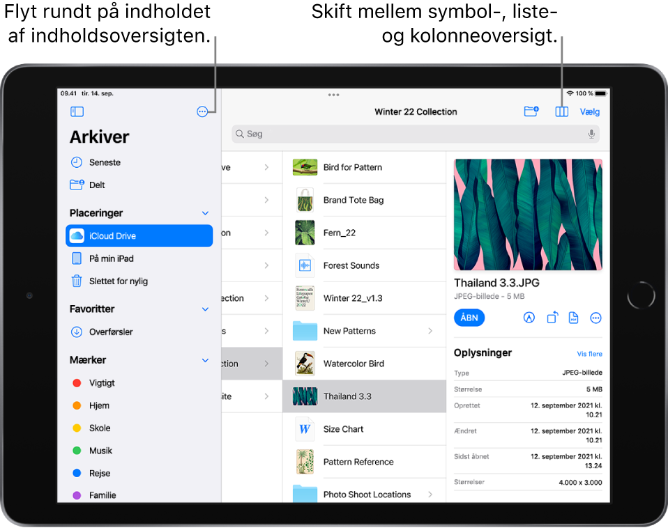 En placering i iCloud Drive med knapper, der bruges til at flytte rundt på indholdet i indholdsoversigten, sortere efter Navn, Dato, Størrelse og Mærker og skifte mellem listeoversigt og symboloversigt.