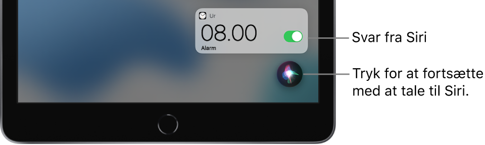 Siri på hjemmeskærmen. En notifikation fra appen Ur viser, at en alarm er sat til kl. 08:00. En knap nederst til højre på skærmen kan bruges, hvis du vil fortsætte med at sige noget til Siri.