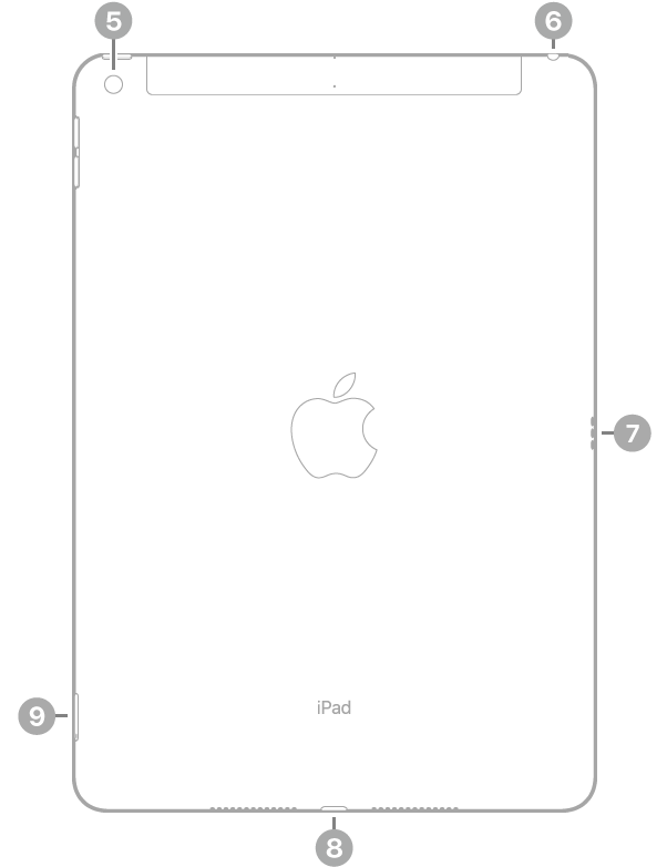 Die Rückansicht des iPad  mit Hinweisen auf die rückwärtige Kamera oben links, den Kopfhöreranschluss oben rechts, den Smart Connector auf der rechten Seite, den Lightning Connector unten in der Mitte und das SIM-Fach (Wi-Fi + Cellular) unten links.