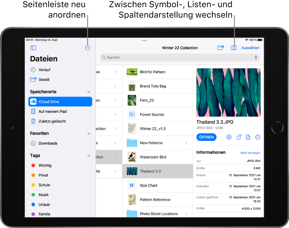 Ein iCloud Drive-Speicherort mit Tasten zum Umorganisieren der Seitenleiste, zum Sortieren nach Name, Datum, Größe, Art und Tags und zum Umschalten zwischen Listen- und Symboldarstellung.