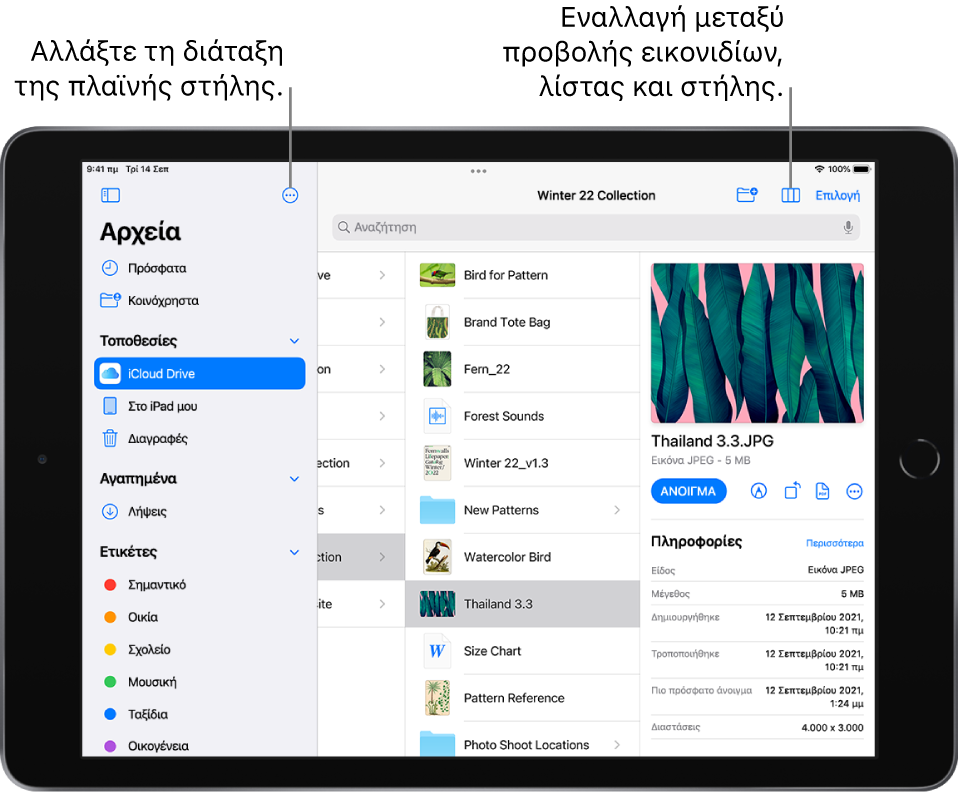Τοποθεσία iCloud Drive όπου φαίνονται κουμπιά για την αναδιάταξη της πλαϊνής στήλης, ταξινόμηση με βάση τις ρυθμίσεις Όνομα, Ημερομηνία, Μέγεθος, και Ετικέτες, και για την εναλλαγή μεταξύ της προβολής λίστας και της προβολής εικονιδίων.