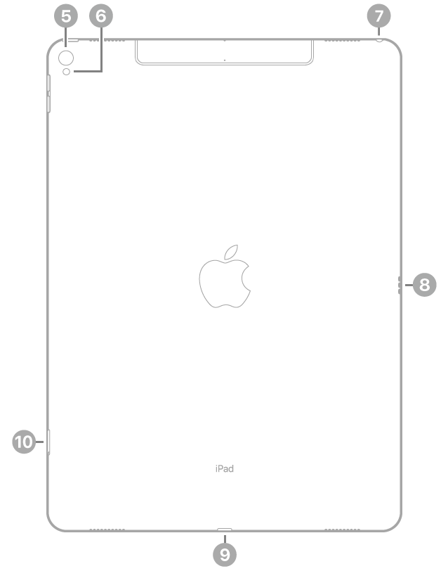 The back view of iPad Pro with callouts to the rear camera and flash at the top left, the headphone jack at the top right, the Smart Connector on the right, the Lightning connector at the bottom center, and the SIM tray (Wi-Fi + Cellular) at the bottom left.