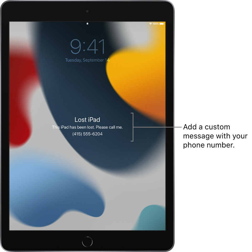 Mark a device as lost in Find My on iPad - Apple Support