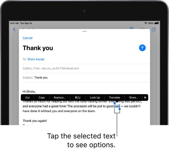 A sample email message with some of the text selected. Above the selection are the Cut, Copy, Paste, and Replace buttons, and more commands. The selected text is highlighted with handles at either end.
