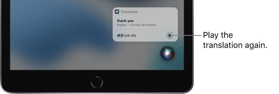 Siri displays a translation of the English phrase “thank you” into Mandarin. A button to the right of the translation replays audio of the translation.