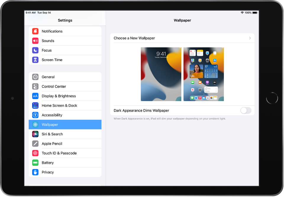 Change The Wallpaper On Ipad Apple Support