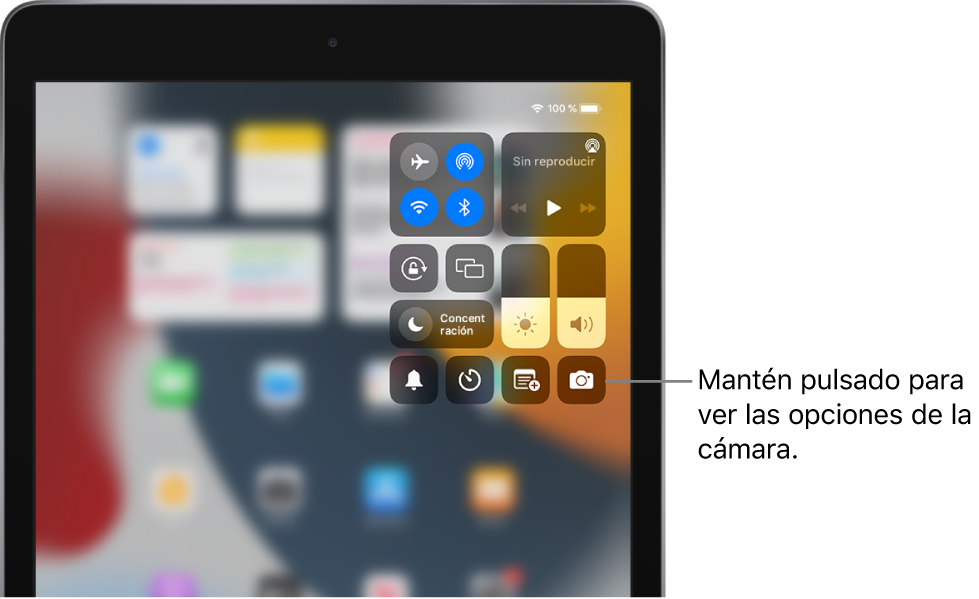 Controles de modo Avión, datos móviles, Wi-Fi y Bluetooth en el grupo de la parte superior izquierda del centro de control para modelos de iPad Wi-Fi + Cellular. El control de la cámara se encuentra en la parte inferior derecha.