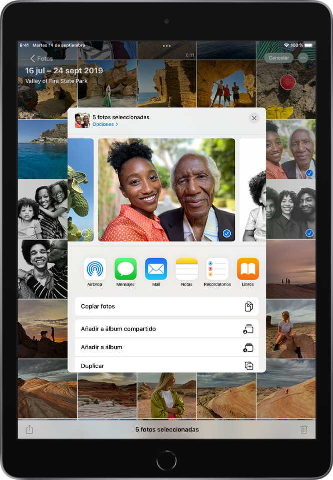 La ventana de compartir fotos se encuentra en el centro de la pantalla. A lo largo de la parte superior de la pantalla hay fotos; la foto seleccionada se indica con una marca de verificación. En la fila de debajo de las fotos, se sugieren contactos recientes con los que compartirlas. Debajo de los contactos sugeridos hay opciones para compartir; de izquierda a derecha, AirDrop, Mensajes, Mail, Notas, Recordatorios y Libros. En la parte inferior de la pantalla para compartir hay una fila de acciones. De arriba a abajo, se muestran “Copiar foto” y “Añadir a álbum compartido”.