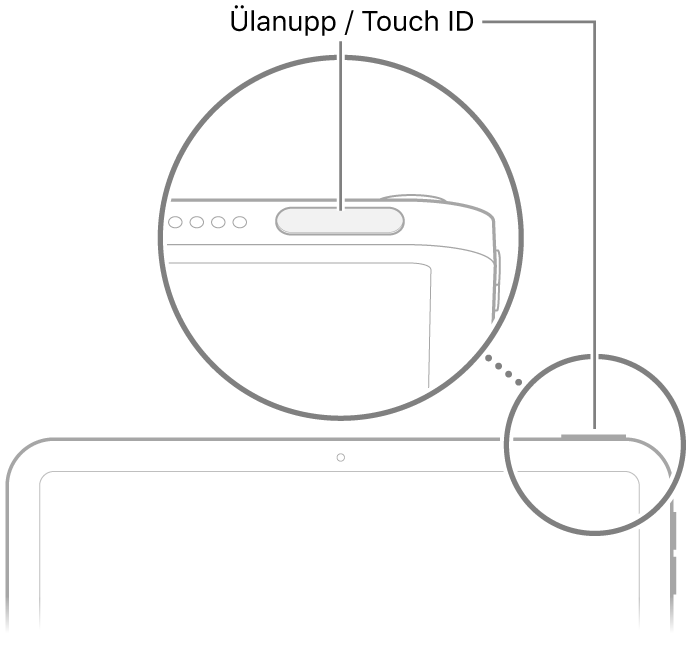 iPadi ülaosas olev ülanupp / Touch ID.