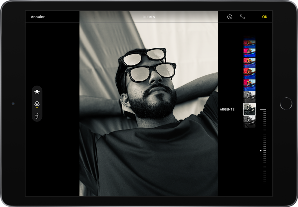 L’écran Modifier avec une photo au centre. Sur le côté gauche de l’écran se trouvent les boutons Ajuster, Filtres et Recadrer ; le bouton Filtres est sélectionné. Sur le côté droit de l’écran se trouvent les options de filtres et un curseur permettant d’ajuster le niveau de l’effet de filtre. Dans le coin supérieur gauche se trouve le bouton Annuler et dans le coin supérieur droit se trouvent les boutons Annoter, « Activer le mode plein écran » et OK.
