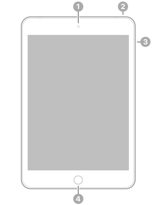 Az iPad mini elölnézete, amelyen a feliratok a készülék tetejének közepén lévő elülső kamerára, a jobb felső részen lévő felső gombra, a jobb oldalon lévő hangerőgombokra és a készülék aljának közepén lévő Főgombra/Touch ID-ra mutatnak.