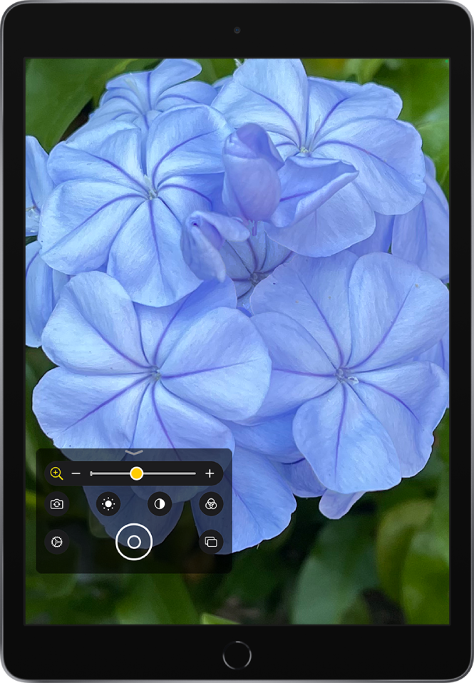 A Nagyító képernyője, amelyen egy virág látható közelről.