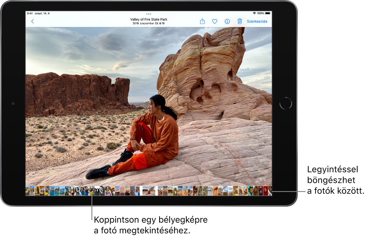 Egy fotó teljes képernyős nézetben, a képernyő alján pedig a könyvtárban lévő többi fotó bélyegképei láthatók. Felül balra található a Vissza gomb, jobbra felül pedig a Megosztás, a Kedvenc, az Infó, a Törlés és a Szerkesztés gomb.