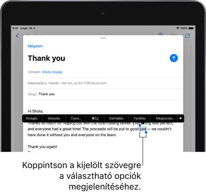 E-mail üzenet, amelyben a szöveg egy része ki van jelölve. A kijelölt szöveg felett a Kivágás, a Másolás, a Beillesztés és a Csere gomb látható, ezenkívül további parancsok is megjelennek. A kijelölt szöveg kiemelve látható, mindkét végén fogópontokkal.