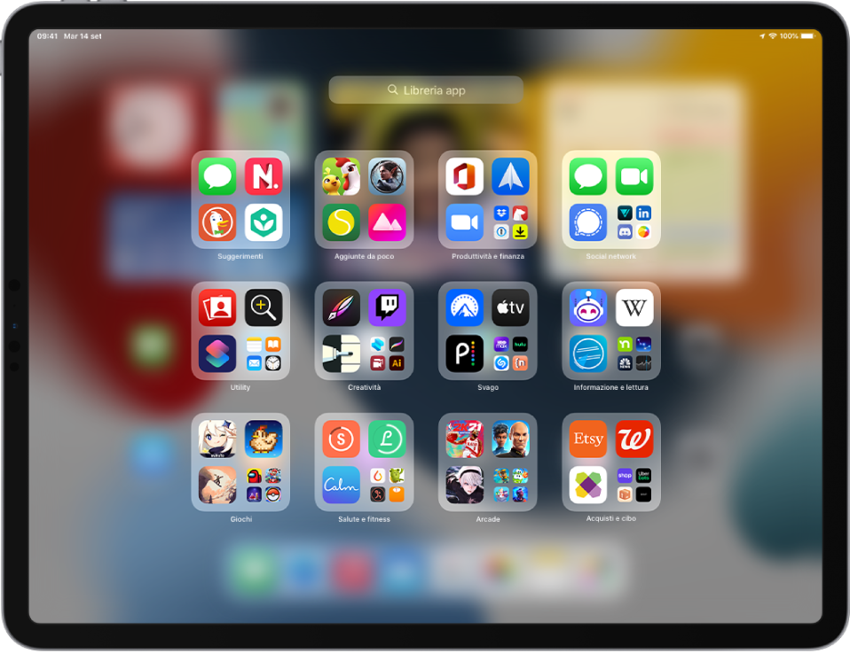 La libreria app di iPad che mostra le app organizzate in categorie (“Produttività e finanze”, Social, Utility, Creatività e così via).