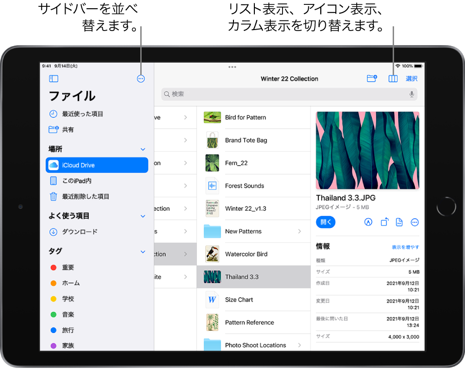 iCloud Driveの場所。サイドバーを「名前」、「日時」、「サイズ」、「タグ」の順に並べ替えるため、およびリスト表示とアイコン表示を切り替えるためのボタンが表示されています。