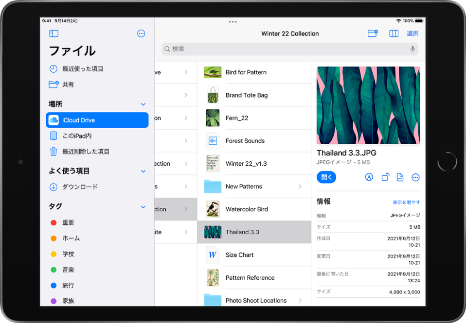 「ファイル」App。左側に「ブラウズ」サイドバー、右側にiCloud Driveの場所のフォルダが標示されています。