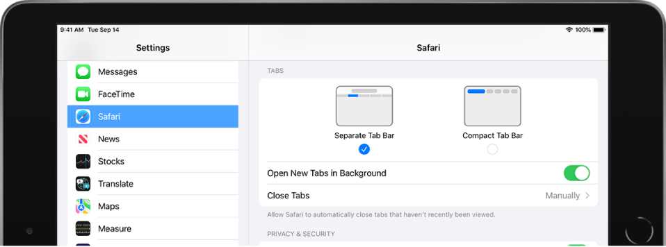 Programos „Settings“ dalis, skirta „Safari“. Po skirtukais pateikiamos parinktys „Separate Tab Bar“ ir „Compact Tab Bar“. Parinktys: „Open New Tabs in Background“ ir „Close Tabs“.