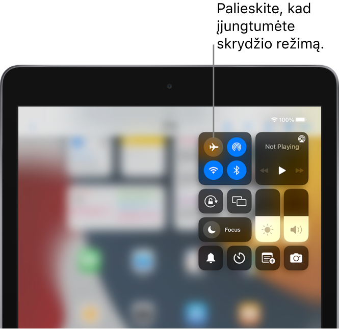 „Control Center“ ekranas, kuriame rodoma, kad palietus viršutinį kairįjį mygtuką įjungiamas lėktuvo režimas.