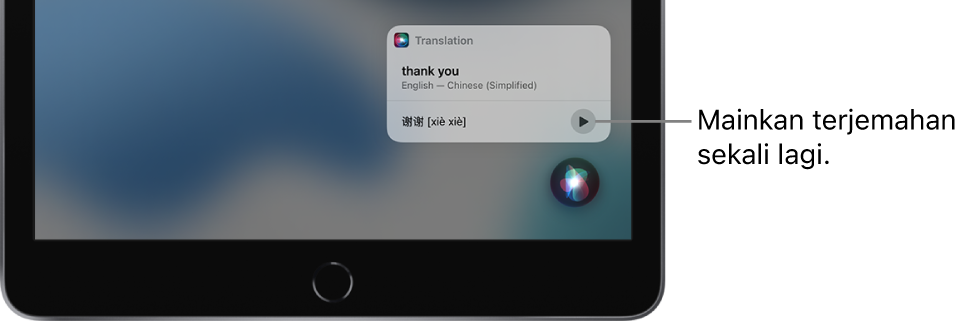 Siri memaparkan terjemahan frasa Inggeris “thank you” ke pada Mandarin. Butang di bahagian kanan terjemahan memainkan semula audio terjemahan.